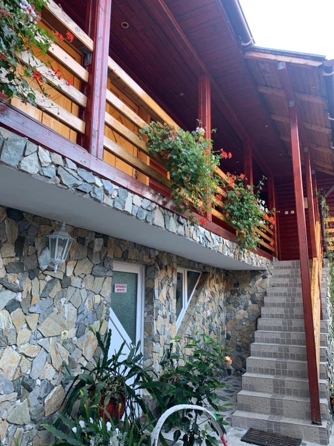 Podul Cetatii Hotel Sebesel Ngoại thất bức ảnh